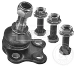 R545019956RBJ